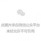我在仙界学物理