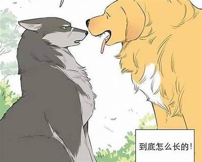 狼进化成人大军漫画免费在线观看