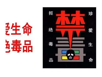 成人禁毒教育PPT课件免费下载